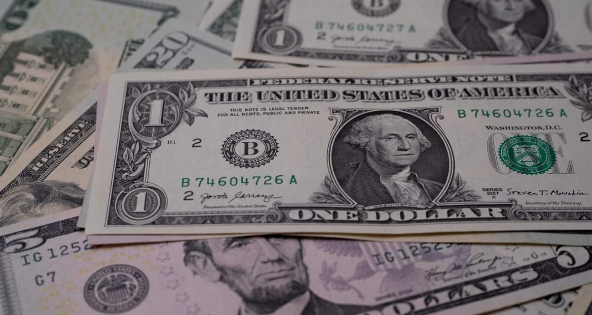 Dólar: o que faz a moeda subir e como se proteger do câmbio