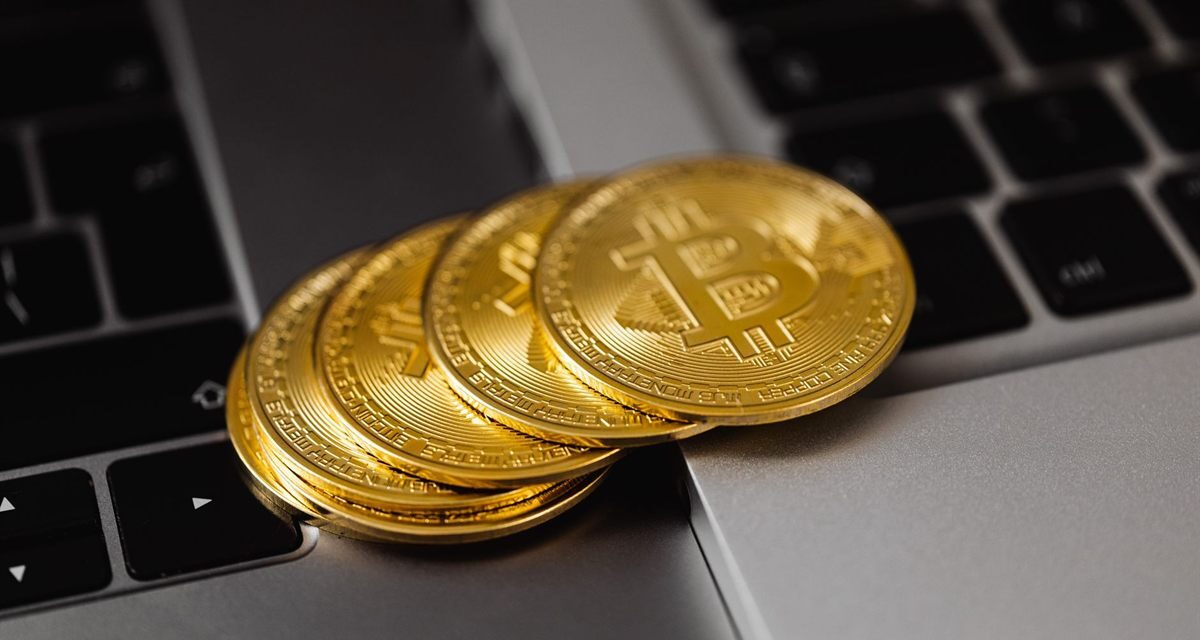 Carteira de cripto: hot wallet, cold wallet e como proteger as chaves