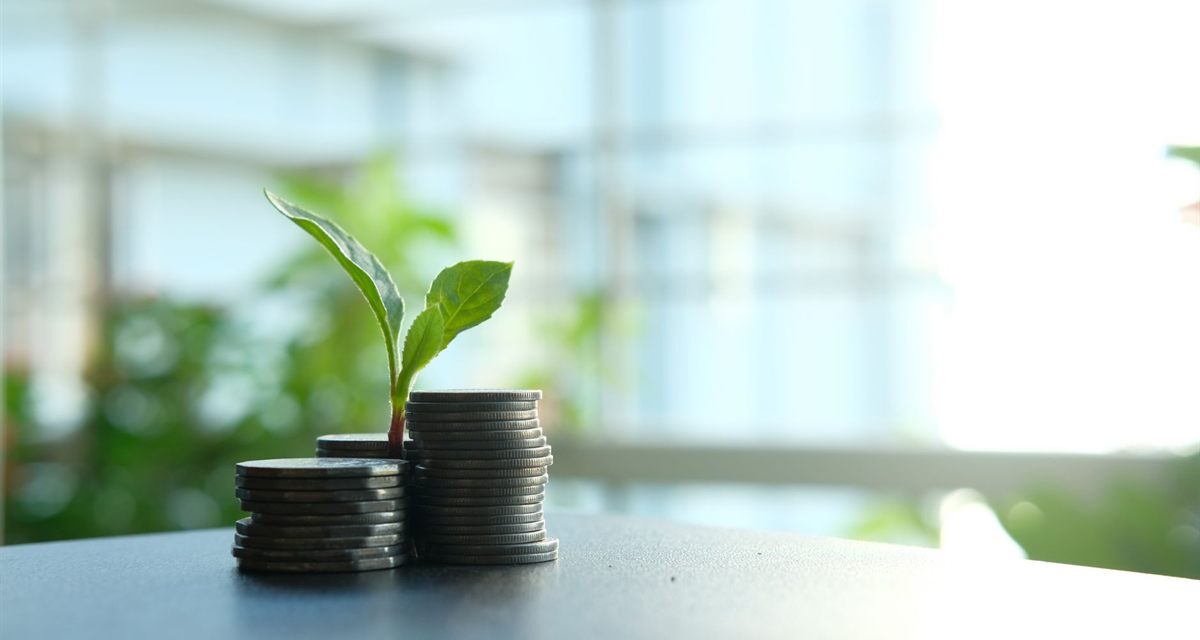 Juros compostos: como o tempo multiplica o seu dinheiro