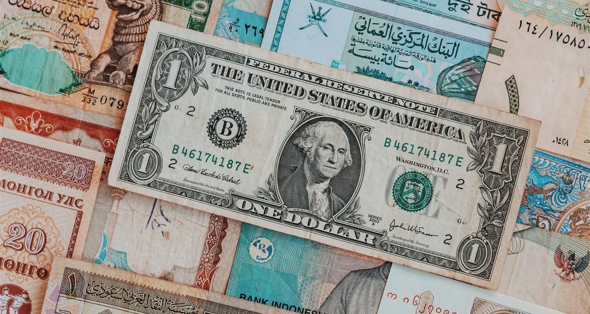 Vale a Pena Ter Dólar na Carteira?