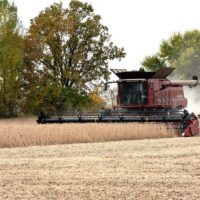 Balança comercial: superávit de US$ 6,54 bi em julho