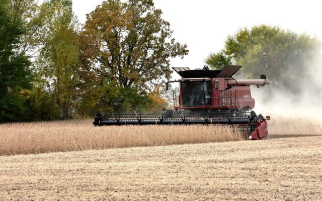 Balança comercial: superávit de US$ 6,54 bi em julho