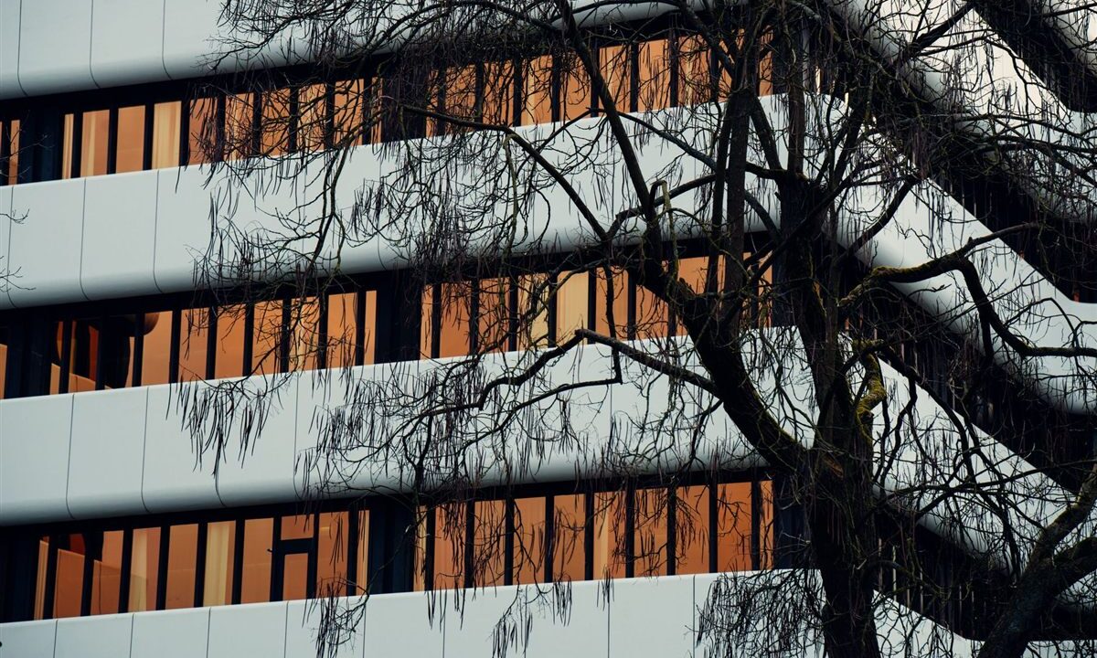 Bradesco reporta hoje: a comparação com o Itaú