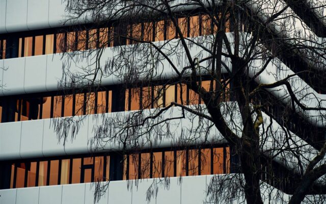 Bradesco reporta hoje: a comparação com o Itaú