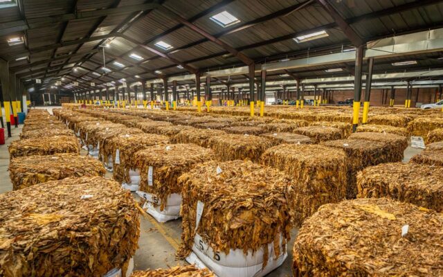 Commodities na carteira: como se expor a petróleo e minério
