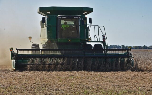 Inadimplência do agro no BB sobe a 8,97%: o que ainda falta