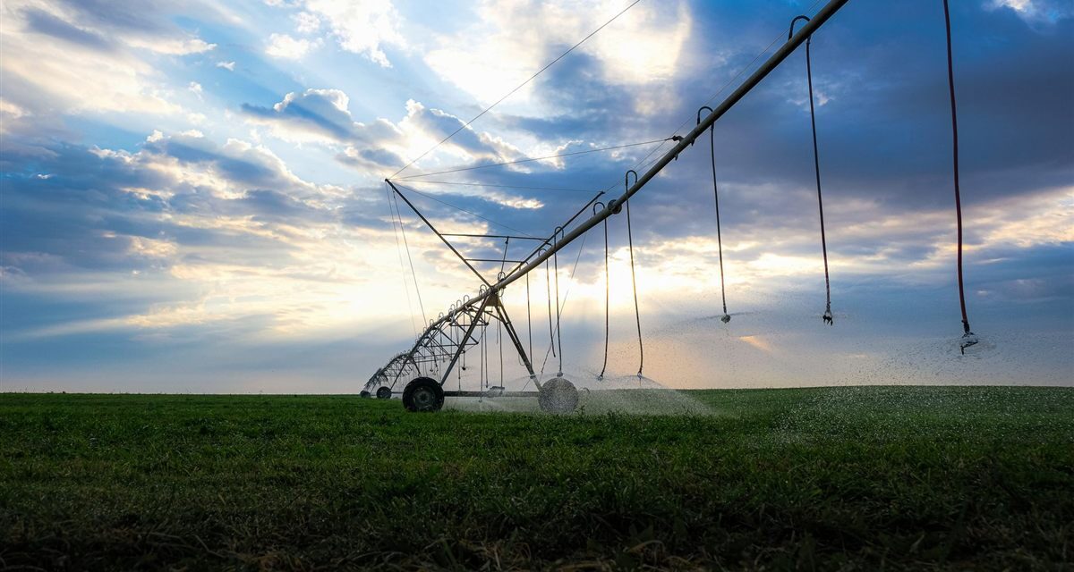 Brent ou WTI: por que existem dois preços do petróleo