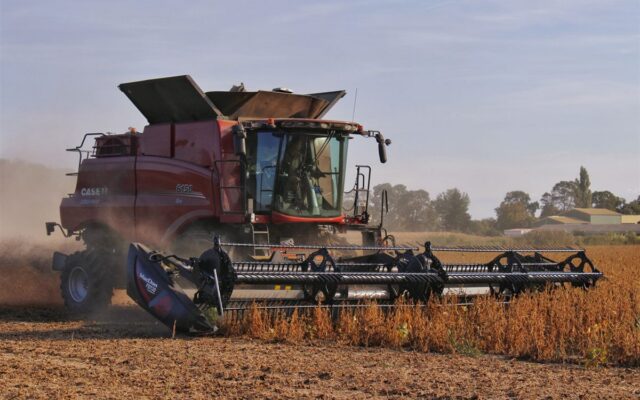 Fiagro: o que é, como rende e como é tributado