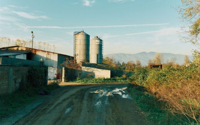 Superávit comercial de US$ 55,3 bi no ano, alta de 28,2%